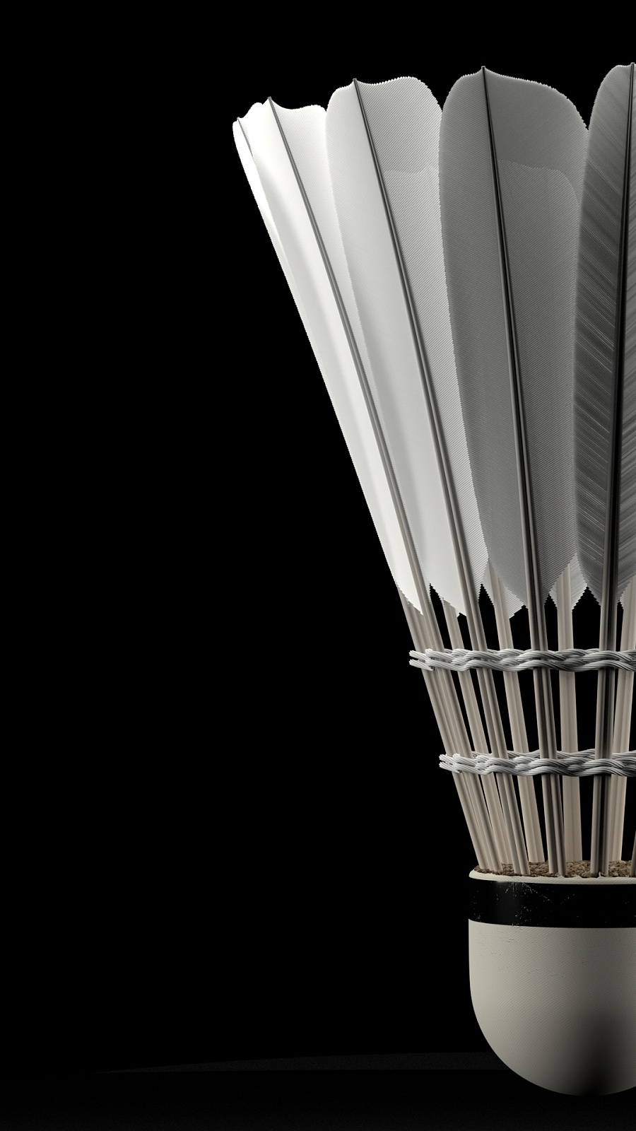 直是球迷们 直是球迷们